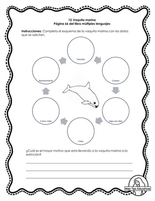 12.Vaquita marina
Página 66 del libro múltiples lenguajes
Instrucciones: Completa el esquema de la vaquita marina con los datos
que se solicitan.
¿Cuál es el mayor motivo que esta llevando a la vaquita marina a la
extinción?
______________________________________________________________________
______________________________________________________________________
______________________________________________________________________
Tamaño
Cuerpo
Algo peculiar
Color
Como viaja
Apareamiento
 