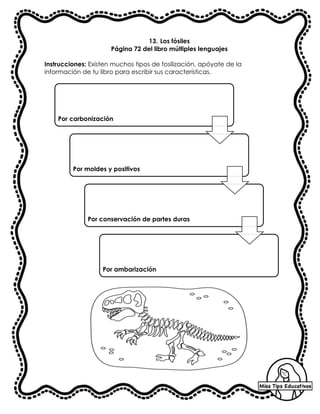 13. Los fósiles
Página 72 del libro múltiples lenguajes
Instrucciones: Existen muchos tipos de fosilización, apóyate de la
información de tu libro para escribir sus características.
Por carbonización
Por moldes y positivos
Por conservación de partes duras
Por ambarización
 