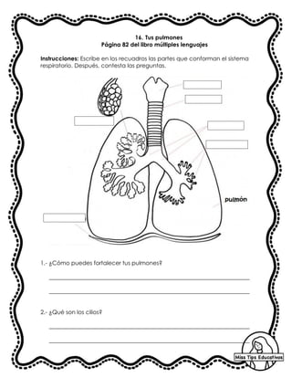 16. Tus pulmones
Página 82 del libro múltiples lenguajes
Instrucciones: Escribe en los recuadros las partes que conforman el sistema
respiratorio. Después, contesta las preguntas.
1.- ¿Cómo puedes fortalecer tus pulmones?
______________________________________________________________________
______________________________________________________________________
2.- ¿Qué son los cilios?
______________________________________________________________________
______________________________________________________________________
 