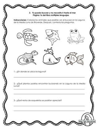 3. Yo puedo bucear y no necesito ir hasta el mar
Página 16 del libro múltiples lenguajes
Instrucciones: Colorea los animales que podrías ver al bucear en la Laguna
de la Media Luna de Rioverde. Después, contesta las preguntas.
1.- ¿En donde se ubica la laguna?
_________________________________________________________________________
2.- ¿Qué plantas podrías encontrar buceando en la Laguna de la Media
Luna?
_________________________________________________________________________
_________________________________________________________________________
3.- ¿Qué restos de esqueletos se podrían apreciar?
_________________________________________________________________________
_________________________________________________________________________
 