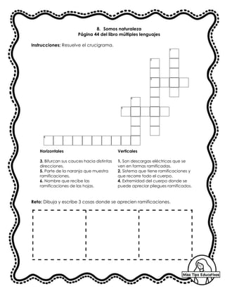 8. Somos naturaleza
Página 44 del libro múltiples lenguajes
Instrucciones: Resuelve el crucigrama.
Horizontales
3. Bifurcan sus cauces hacia distintas
direcciones.
5. Parte de la naranja que muestra
ramificaciones.
6. Nombre que recibe las
ramificaciones de las hojas.
Verticales
1. Son descargas eléctricas que se
ven en formas ramificadas.
2. Sistema que tiene ramificaciones y
que recorre todo el cuerpo.
4. Extremidad del cuerpo donde se
puede apreciar pliegues ramificados.
Reto: Dibuja y escribe 3 cosas donde se aprecien ramificaciones.
 