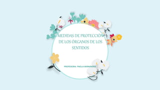MEDIDAS DE PROTECCIÓN
DE LOS ÓRGANOS DE LOS
SENTIDOS
PROFESORA: PAOLA HERNÁNDEZ
 