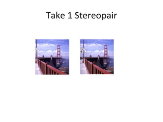 Take 1 Stereopair 