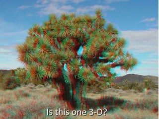 Is this one 3-D? 