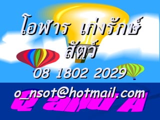 Q and A โอฬาร  เก่งรักษ์สัตว์ 08 1802 2029 [email_address] 