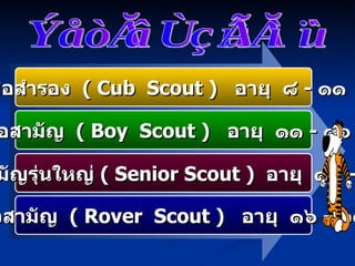 ลูกเสือสำรอง  (  Cub  Scout  )  อายุ  ๘  -  ๑๑  ปี ลูกเสือสามัญรุ่นใหญ่  (  Senior Scout  )  อายุ  ๑๔  -  ๑๘ ปี ลูกเสือสามัญ  (  Boy  Scout  )  อายุ  ๑๑  -  ๑๖  ปี ลูกเสือวิสามัญ  (  Rover  Scout  )  อายุ  ๑๖  -  ๒๕  ปี ประเภทลูกเสือ 