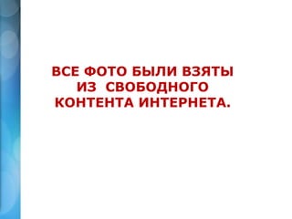 ВСЕ ФОТО БЫЛИ ВЗЯТЫ
ИЗ СВОБОДНОГО
КОНТЕНТА ИНТЕРНЕТА.
 