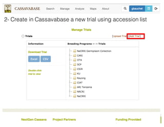 2- Create in Cassavabase a new trial using accession list
Add a trial infos
 