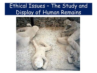Ethical Issues – The Study and
  Display of Human Remains
 