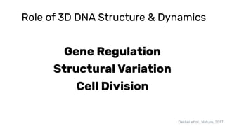 Visualization of 3D Genome Data | PDF