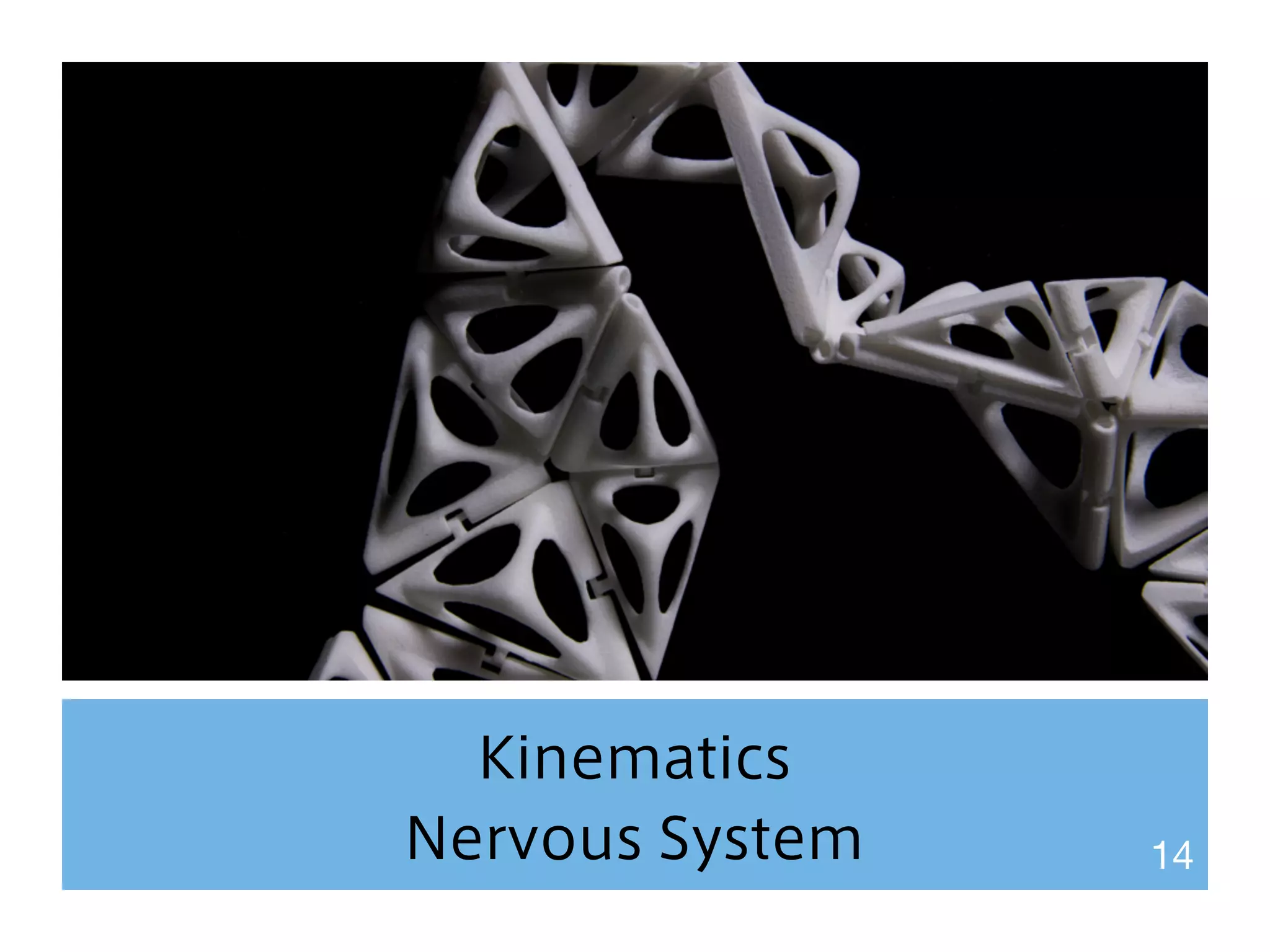 Kinematics 
Nervous System 14 
 