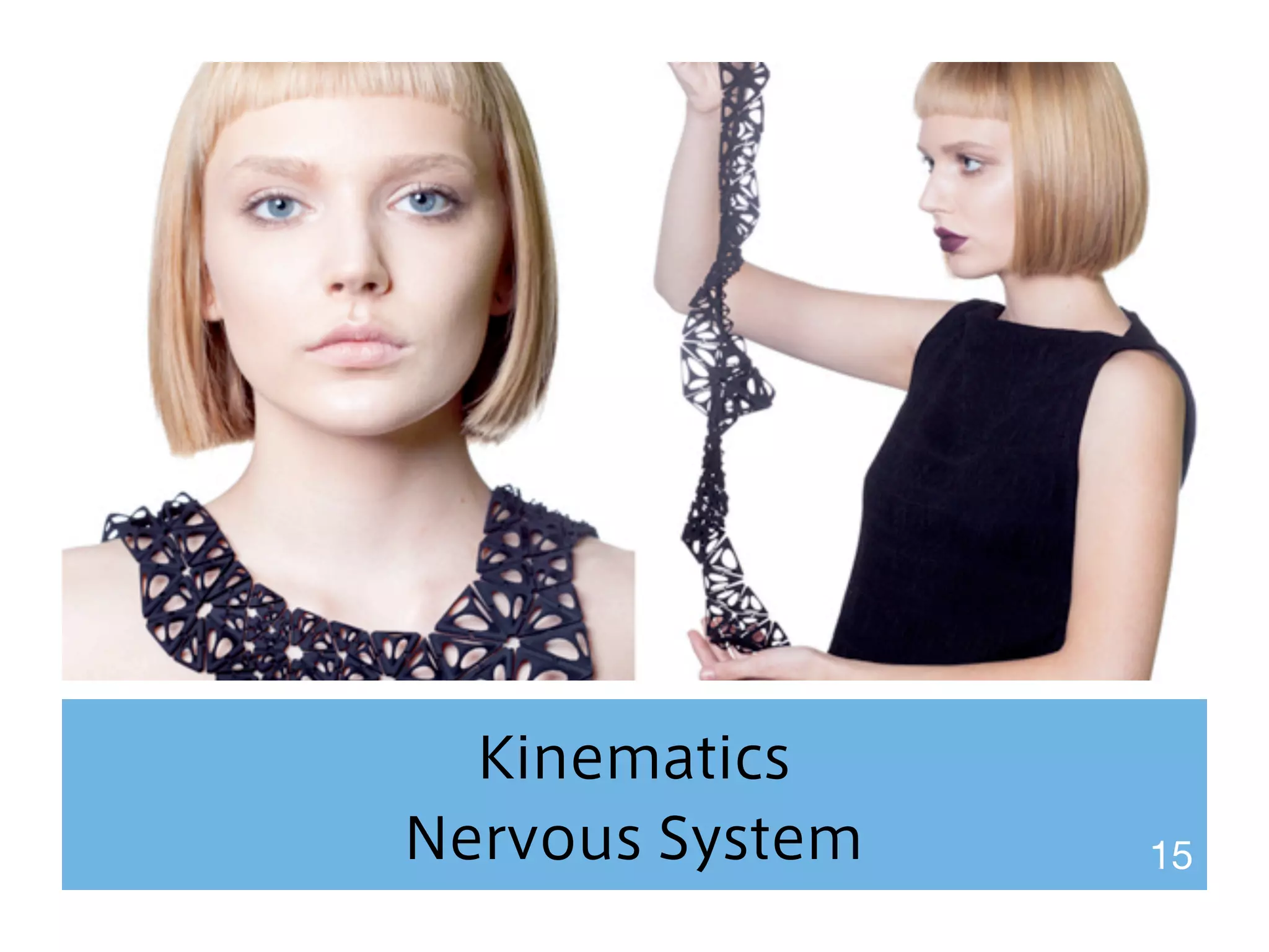 Kinematics 
Nervous System 15 
 