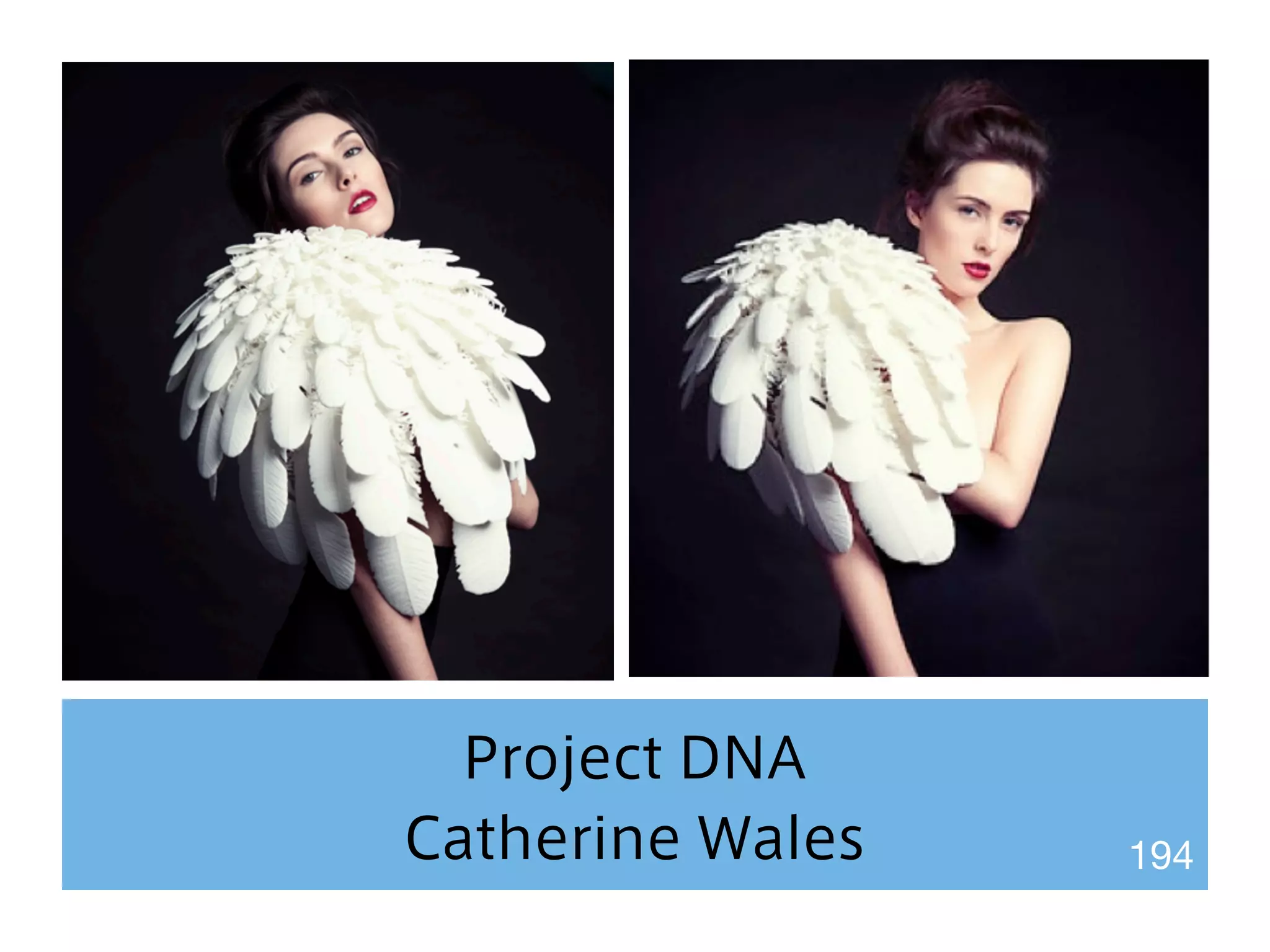 Project DNA 
Catherine Wales 194 
 