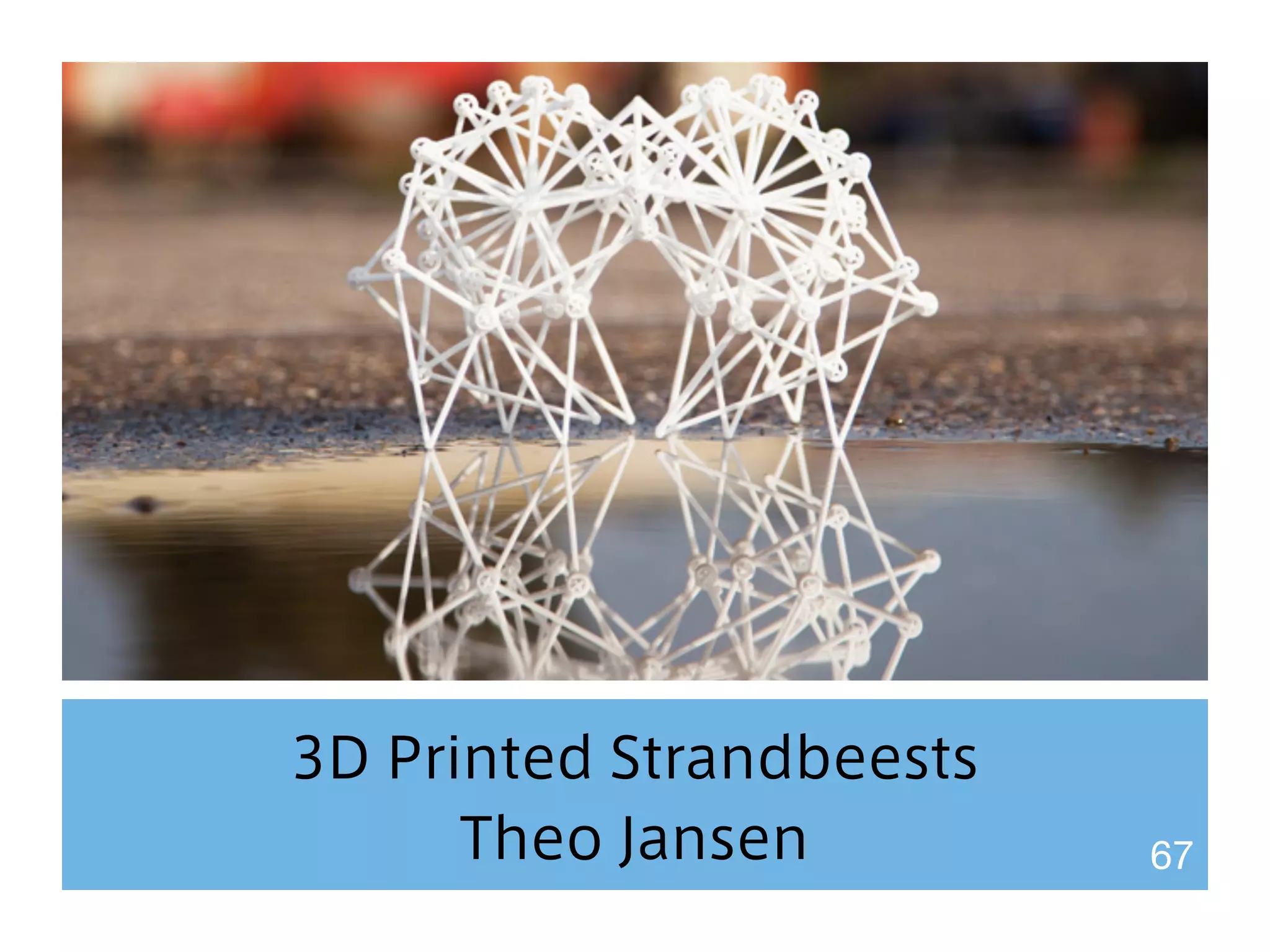 3D Printed Strandbeests 
Theo Jansen 67 
 
