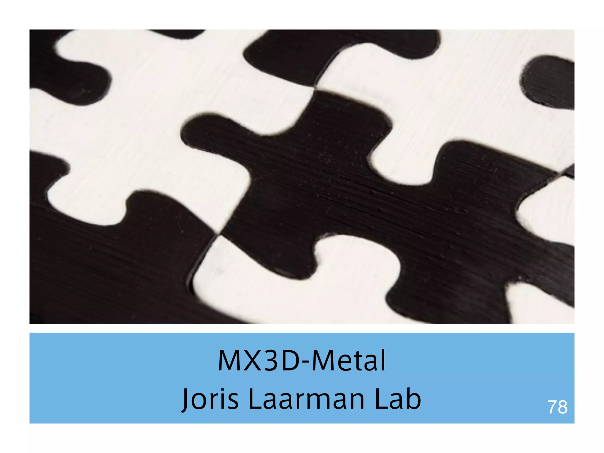 MX3D-Metal 
Joris Laarman Lab 78 
 