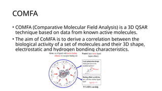 "Detailed 3D-QSAR PowerPoint Explaining Methods, Models, and ...