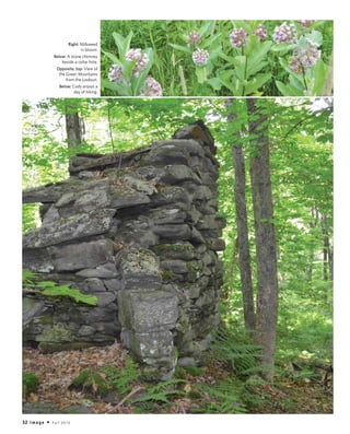 32 i m a g e • F a l l 2 0 1 5
Right: Milkweed
in bloom.
Below: A stone chimney
beside a cellar hole.
Opposite, top: View of
the Green Mountains
from the Lookout.
Below: Cody enjoys a
day of hiking.
day hiking
 