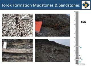 Torok Formation Mudstones & Sandstones
SM2
 