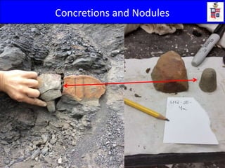 Concretions and Nodules
 