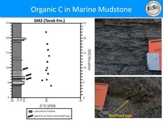 Organic C in Marine Mudstone
SM2 (Torok Fm.)
fossilized logs
 