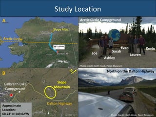 North on the Dalton Highway
Photo Credit: Beth Hook, Perot Museum
Photo Credit: Beth Hook, Perot Museum
Evan Kevin
Joe
Ashley
Sarah
Lauren
Arctic Circle Campground
Study Location
Dalton Highway
Galbraith Lake
Campground
Slope
Mountain
Approximate
Location:
68.74° N 149.02°W
Slope Mtn.
A
B
 