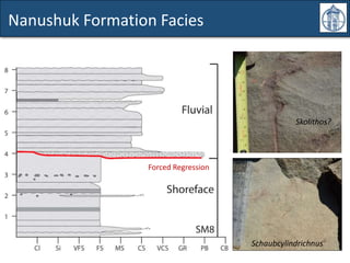 Nanushuk Formation Facies
Schaubcylindrichnus
Skolithos?
Forced Regression
 