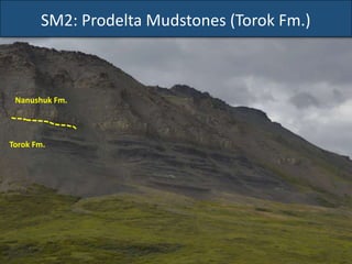 SM2: Prodelta Mudstones (Torok Fm.)
Nanushuk Fm.
Torok Fm.
 