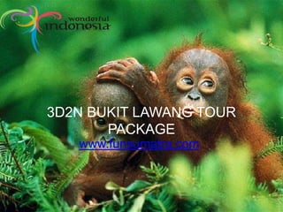 3D2N BUKIT LAWANG TOUR
PACKAGE
www.funsumatra.com
 