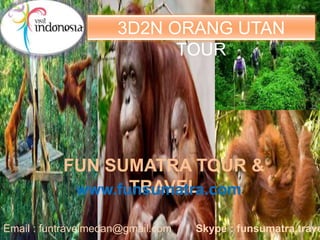 3D2N ORANG UTAN
TOUR
FUN SUMATRA TOUR &
TRAVELwww.funsumatra.com
Email : funtravelmedan@gmail.com Skype : funsumatra.trave
 