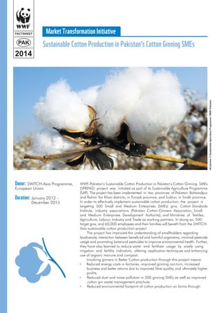 Sustainable cotton production in Pakistan_s cotton ginning SMEs