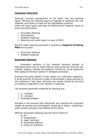 Sapphire Internship Report | PDF