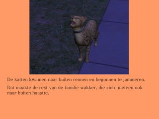 De katten kwamen naar buiten rennen en begonnen te jammeren. Dat maakte de rest van de familie wakker, die zich  meteen ook naar buiten haastte.  