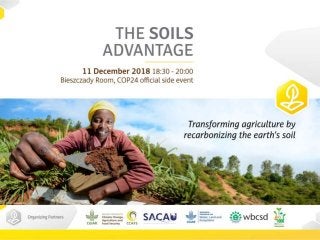 Soils Advantage: Business case for Investment in Soil Health - Dalma Somogyi, World Business Council for Sustainable Development