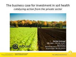 Soils Advantage: Business case for Investment in Soil Health - Dalma Somogyi, World Business Council for Sustainable Development