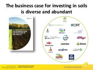 Soils Advantage: Business case for Investment in Soil Health - Dalma Somogyi, World Business Council for Sustainable Development