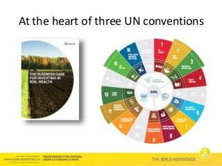 Soils Advantage: Business case for Investment in Soil Health - Dalma Somogyi, World Business Council for Sustainable Development
