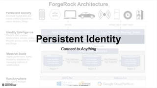 © 2017 ForgeRock. All rights reserved.
Persistent Identity
Connect to Anything
 