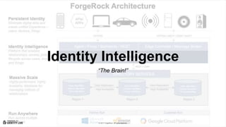© 2017 ForgeRock. All rights reserved.
Identity Intelligence
“The Brain!”
 