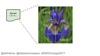 iris.csv
1.3,1.4,...
@dwhitena, @datascienceassn, #DSAChicago2017
 