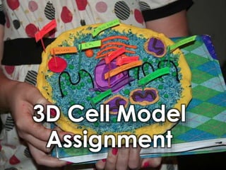 3D Cell Model
Assignment
 