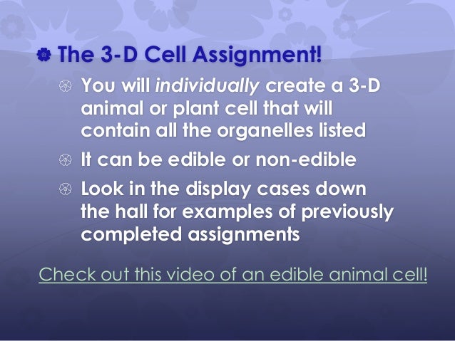 3d Cell Project Instructions