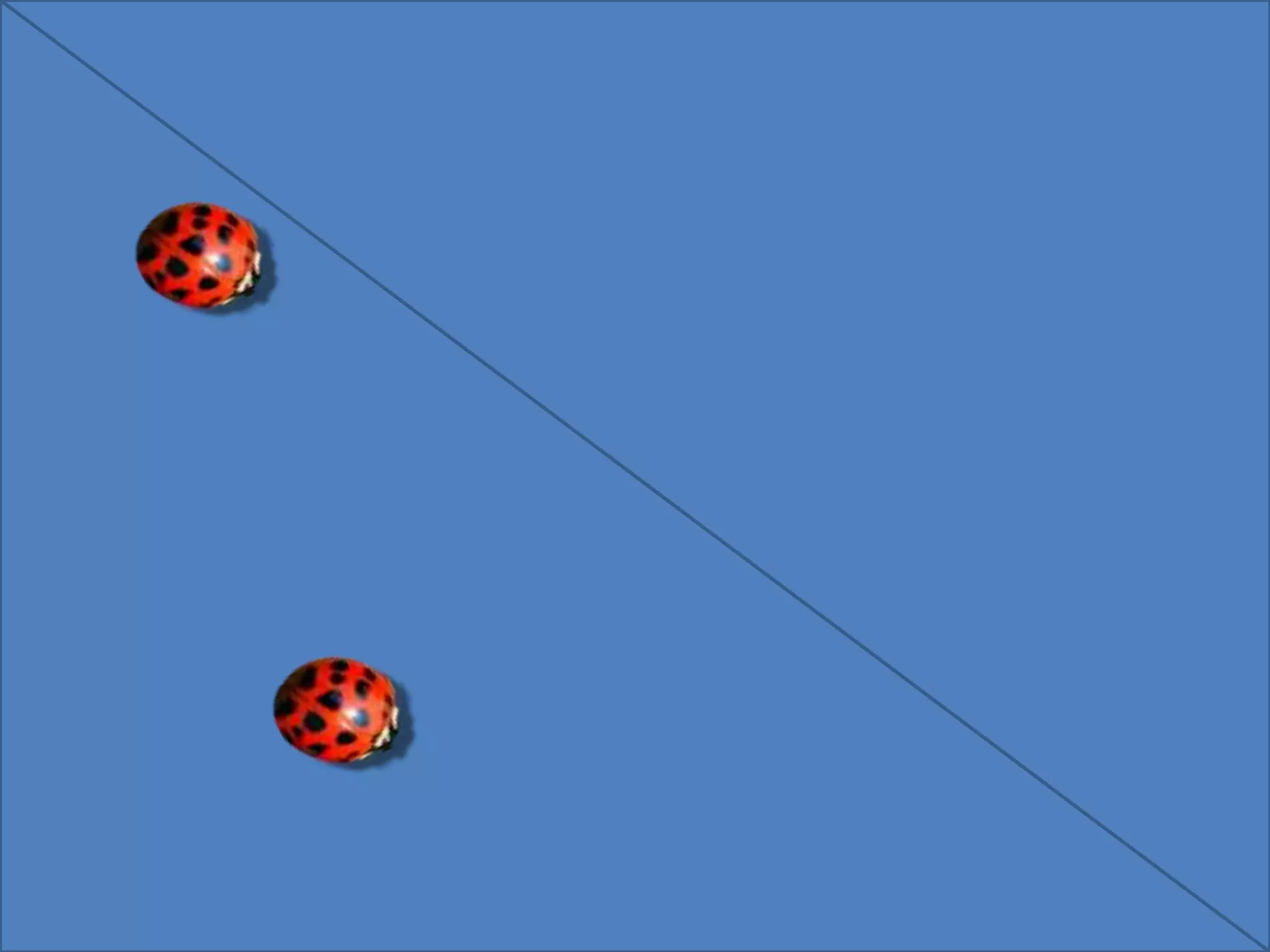 Animation is the process of rendering
images in quick succession so as to
give an impression of continuous
motion. In 3D animation, the images
that are used are three dimensional.
 