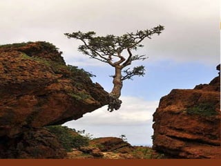 Dar es salaam april 2014