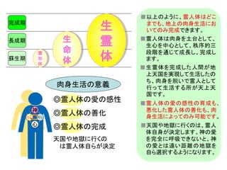 霊 
形 
体 
生 
命 
体 
生 
霊 
完成期 
長成期 
蘇生期体 
■以上のように、霊人体はどこ 
までも、地上の肉身生活にお 
いてのみ完成できます。 
■霊人体は肉身を土台として、 
生心を中心として、秩序的三 
段階を通じて成長し、完成し 
ます。 
■生霊体を完成した人間が地 
上天国を実現して生活したの 
ち、肉身を脱いで霊人として 
行って生活する所が天上天 
国です。 
◎霊人体の愛の感性 
◎霊人体の善化 
◎霊人体の完成 
天国や地獄に行くの 
→は霊人体自らが決定 
■霊人体の愛の感性の育成も、 
悪化した霊人体の善化も、肉 
身生活によってのみ可能です。 
■天国や地獄に行くのは、霊人 
体自身が決定します。神の愛 
を完全に呼吸できないと、神 
の愛とは遠い距離の地獄を 
自ら選択するようになります。 
神 
生心肉心 
心 
肉身生活の意義 
 