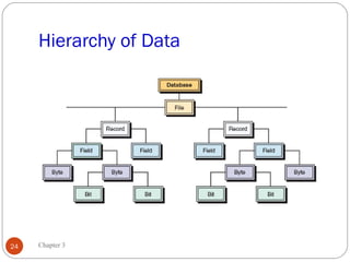 Hierarchy of Data




24   Chapter 3
 