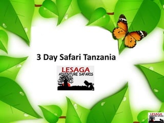 3 Day Safari Tanzania
 