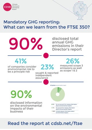 Comply or explain: review of FTSE350 environmental reporting