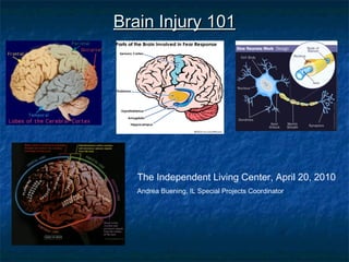 Brain Injury 101Brain Injury 101
The Independent Living Center, April 20, 2010
Andrea Buening, IL Special Projects Coordinator
 