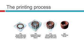 The printing process 
 