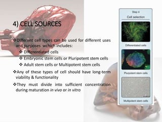 4) CELL SOURCES
Different cell types can be used for different uses
and purposes wchich includes:
 Differentiated cells
 Embryonic stem cells or Pluripotent stem cells
 Adult stem cells or Multipotent stem cells
Any of these types of cell should have long-term
viability & functionality
They must divide into sufficient concentration
during maturation in vivo or in vitro
6
 